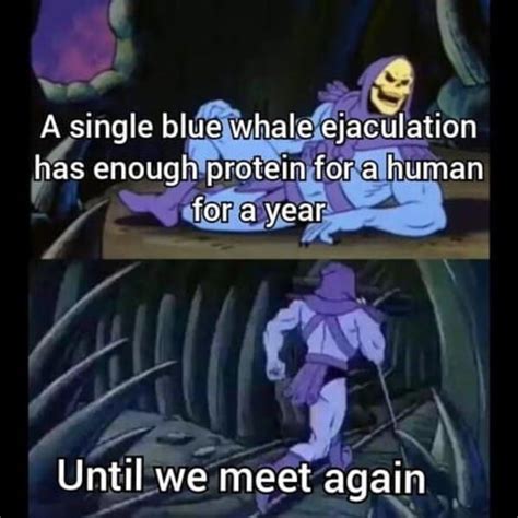 Skeletor Facts Memes Are Unsettling, But Funny (22 Memes)