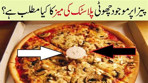 What Is Pizza Saver Uses Pizza Saver History And Facts In Urdu - YouTube