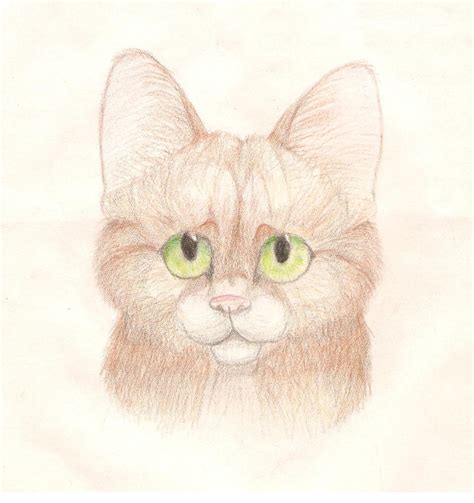 Brown Cat -.:drawn with pencil crayon:.- by Lyss504813 on DeviantArt