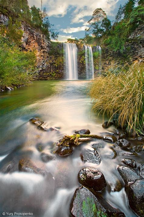 Dangar Falls, Dorrigo, New South Wales, Australia ~ETS #waterfalls #australia | Beautiful nature ...