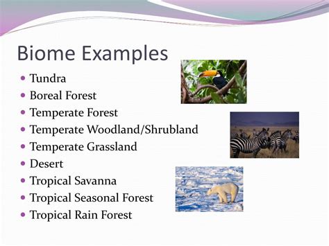 PPT - Chapter 15: The Biosphere and Chapter 16: Human Impact on ...