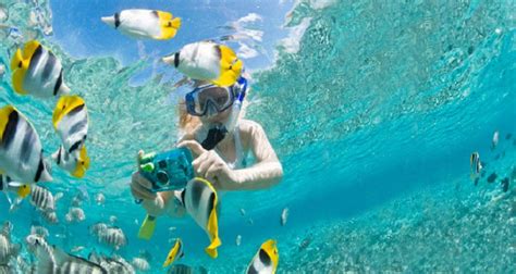 Snorkeling in Punta Cana, Dominican Republic - Bavaroexcursions