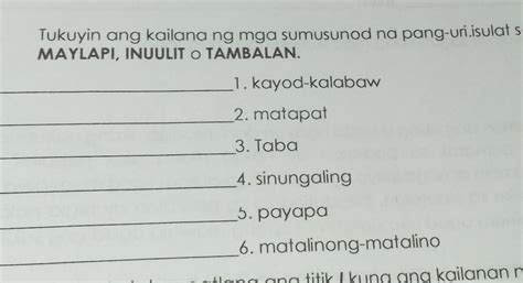 Tukuyin ang kailang ng mga sumusunod na pang-uri isulat sa patlang kung ito ay PAYAK,MAYLAPI ...