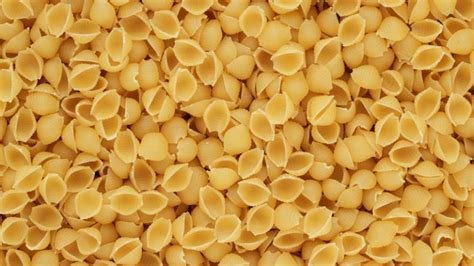 Conchiglie, Conchigliette, Conchiglioni. – The Pasta Project