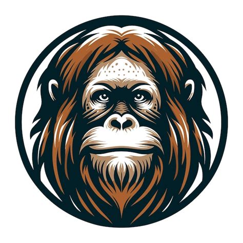 Premium Vector | Wild orangutan primate head face vector illustration ...