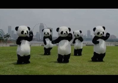 Club Can't Even Handle Me Right Now GIF - Panda Dance Dancing ...