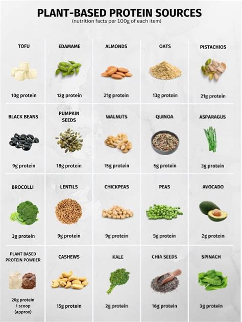 Plant-based/high Protein Foods Reference Chart, PRINTABLE / INSTANT ...