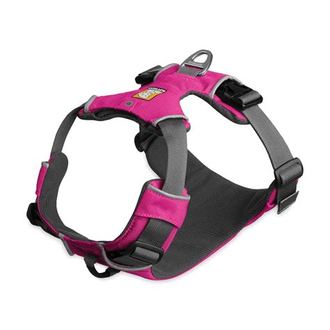 4 Best Dog Harness Choices for Small Dogs (Review & Ratings)