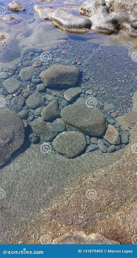 Rocks underwater stock image. Image of lava, underwater - 141879405