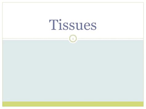 PPT - Understanding Epithelial Tissues: Structure and Function PowerPoint Presentation - ID:8883927