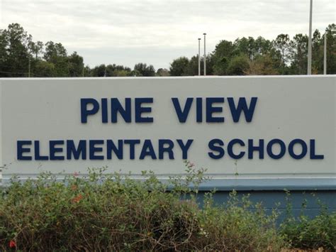 Pine View Elementary Gets New Leader | Land O' Lakes, FL Patch