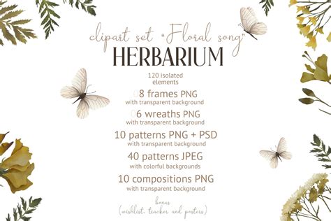 Herbarium. Botanical set | Creative Market