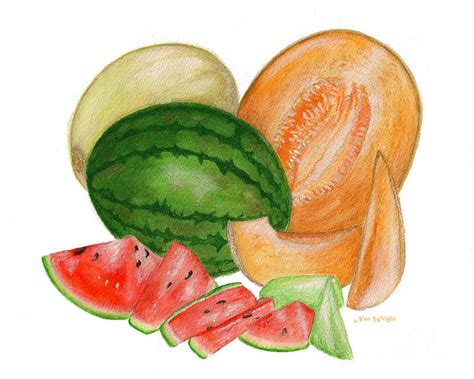 Melons Painting by Nan Wright