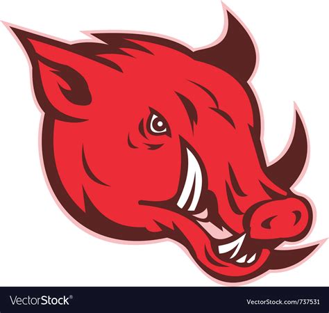 Razorback wild hog Royalty Free Vector Image - VectorStock