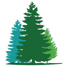 Fir Tree Clip Art - ClipArt Best