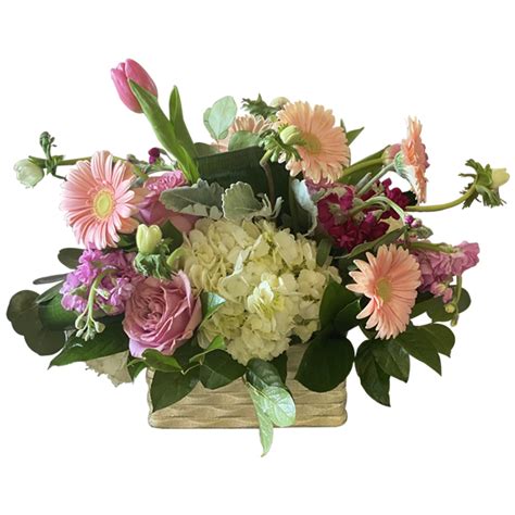 May Flowers - SPR5263 | Cherryhill Flowers