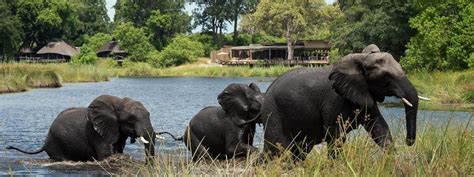 Botswana Lodges And Safari Camps| 90+ Safari Lodges In Botswana