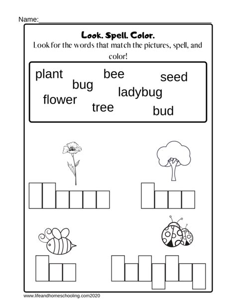 Kindergarten Spelling Worksheet | Made By Teachers