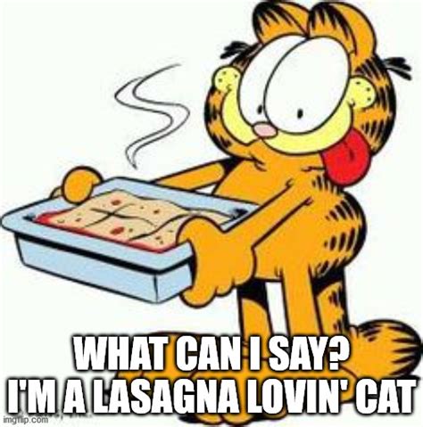 Garfield Memes & GIFs - Imgflip