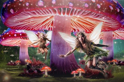 Enchanted forest fairies fantasy remix | Free Photo Illustration - rawpixel