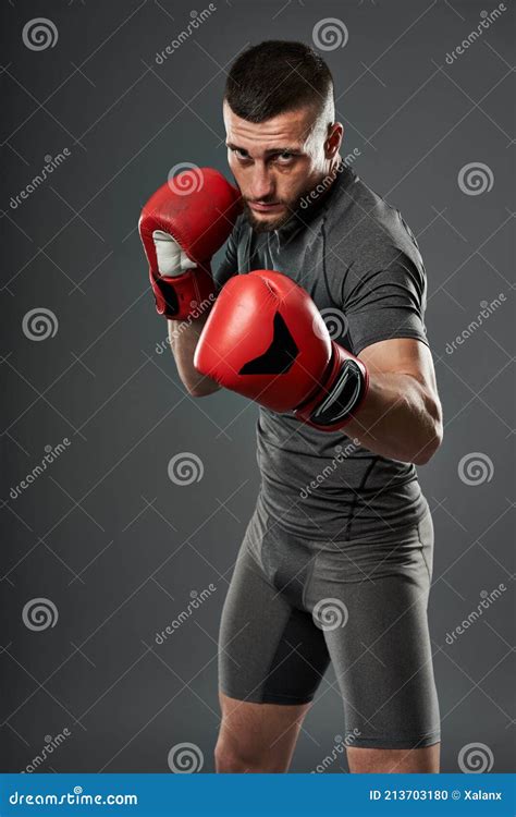 MMA fighter training stock photo. Image of active, male - 213703180