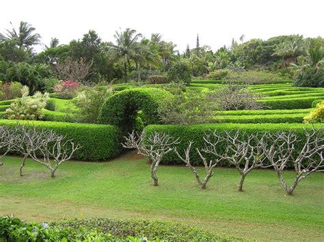 na aina kai botanical kauai | Kauai, Kauai tours, Hawaii travel