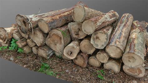 Log pile - 3D model by matousekfoto [0f7e548] - Sketchfab