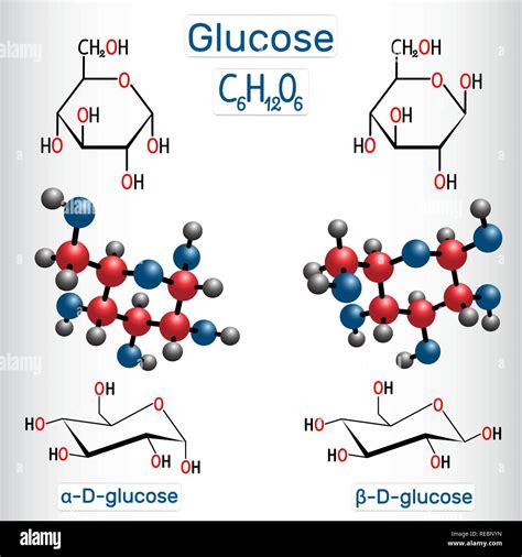 Alpha Glucose Model