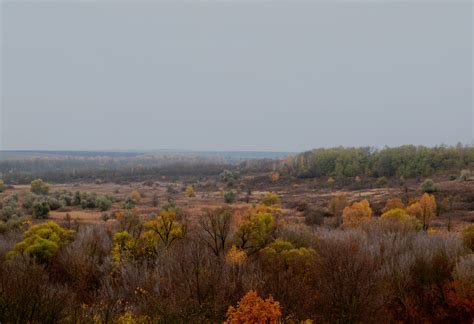 Aerial Photography of Autumn Trees in the Forest · Free Stock Photo