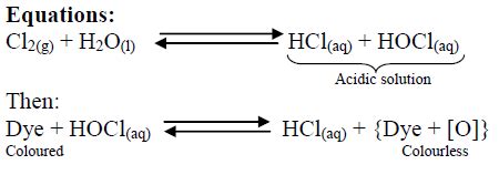 Explain the bleaching action of chlorine.