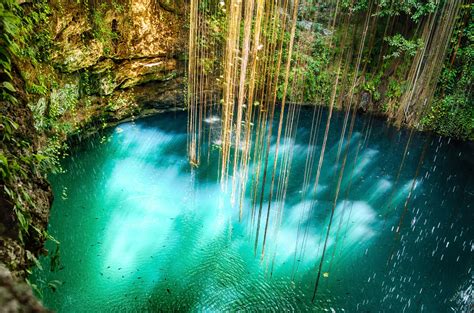 Our Favorite Cenotes in the Yucatan • Columbia Blog