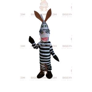 Costume of Marty, the famous zebra of the cartoon