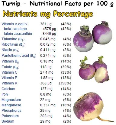 Properties and Benefits of Turnip - NatureWord