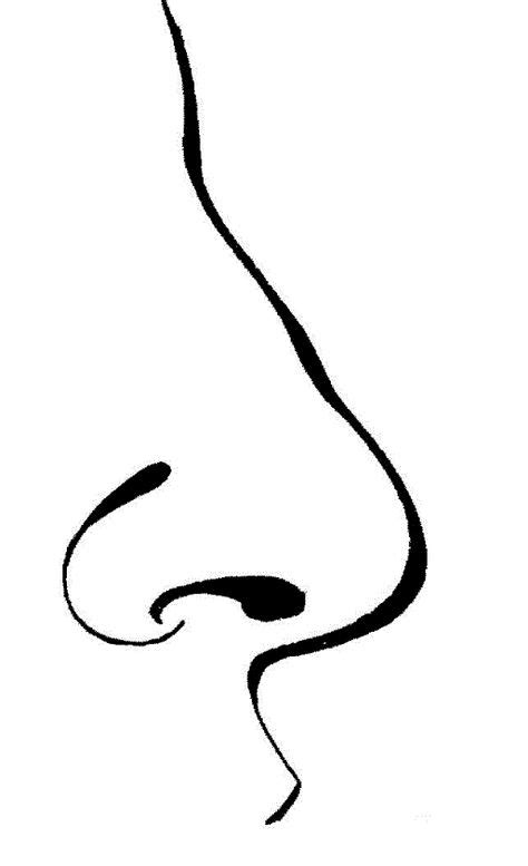 Human Nose Drawing | Free download on ClipArtMag