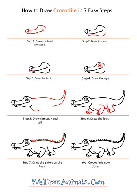 How to Draw a Cartoon Crocodile