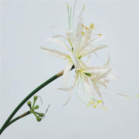 Hotaey Artificial Flowers Red Spider Lilies Silk Flowers with Long Stem ...