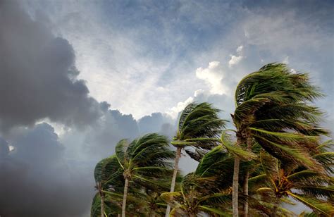 Tropical Depression: Definition, Conditions, and Damage