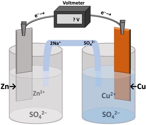 Determine what happens to the cell voltage when each of the follo... | Channels for Pearson+