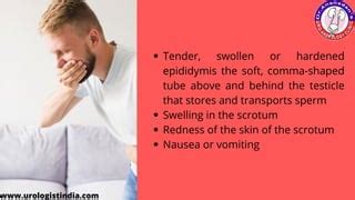 Symptoms of scrotal masses | PPT