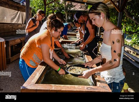 Panning for gold in ca hi-res stock photography and images - Alamy