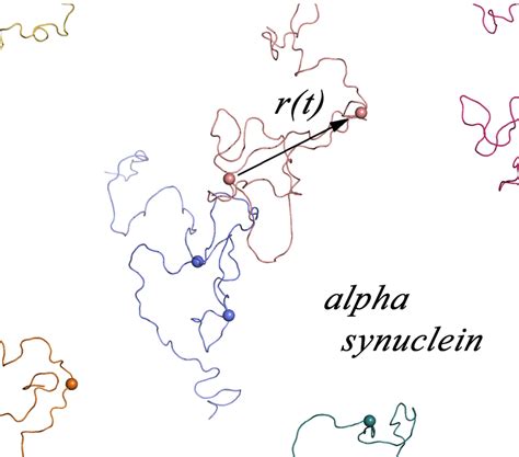 Intrinsically disordered proteins - FeigLab