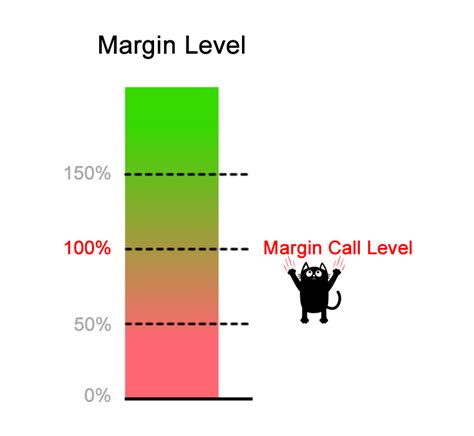 Trading Scenario: Margin Call Level at 100% and No Separate Stop Out Level - Babypips.com