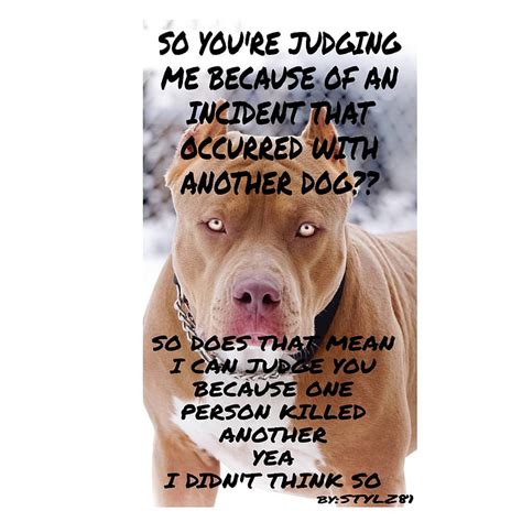 Cute Pitbull Pictures Quotes