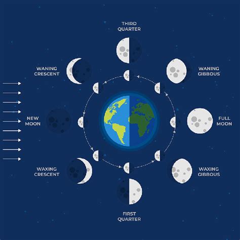 The revolution of the Moon around the Earth gives rise to the phases of ...