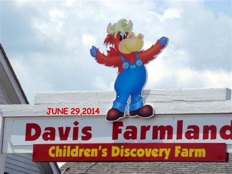 DAVIS FARMLAND (2024) All You Need to Know BEFORE You Go (with Photos) - Tripadvisor