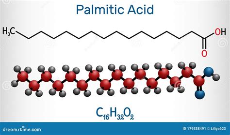 Palmitic Acid or Hexadecanoic, C16H32O2 Molecule. it is Saturated Fatty Acid Stock Vector ...