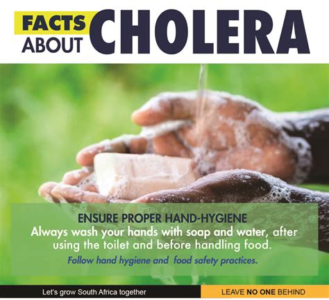 Probe underway to determine Cholera outbreak source | Vuk'uzenzele