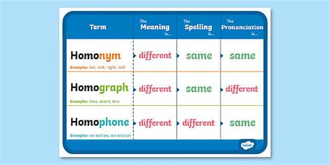 Homonym Homograph Homophone Explanation Chart (teacher made)