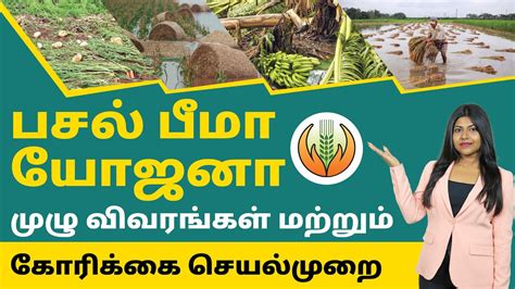 Pradhan Mantri Fasal Bima Yojana Claim Process In Tamil – PMFBY Crop Insurance Claiming ...