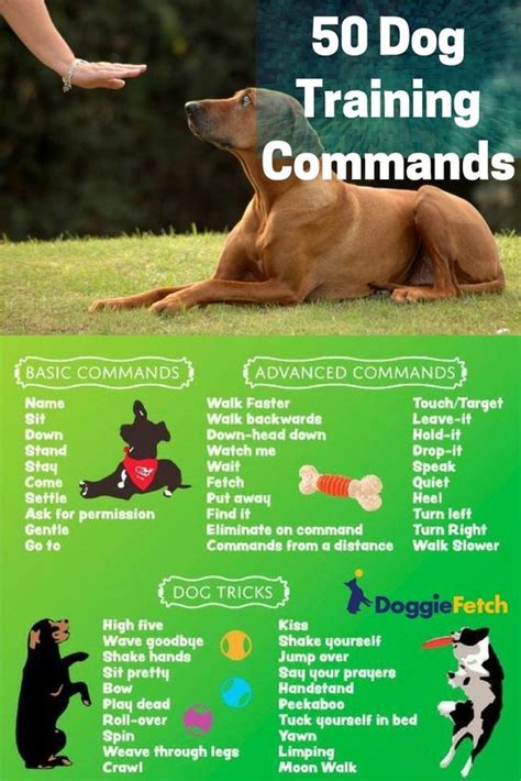 Printable Dog Training Tips